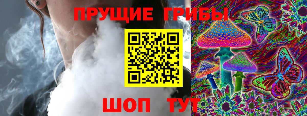Галлюциногенные грибы Psilocybe  Вход с VPN  Псилоцибиновые грибы ЛСД  Россия 